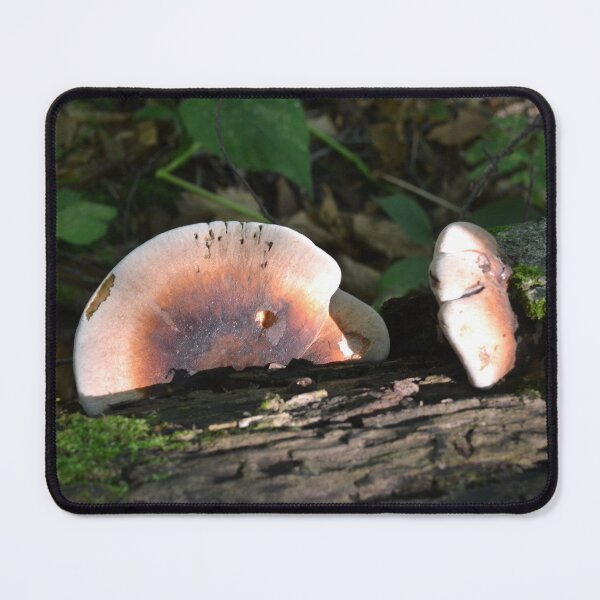 Item preview, Two Large Mushrooms designed and sold by Kathleen Brant.