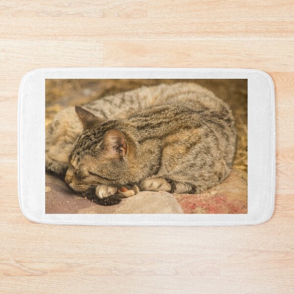 Item preview, slb sleepy designed and sold by pcfyi.