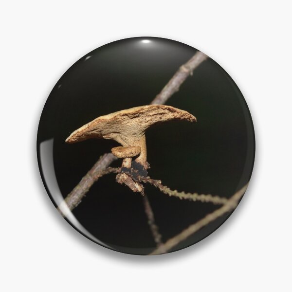 Item preview, Tiny Mushrooms on a Twig designed and sold by Kathleen Brant.