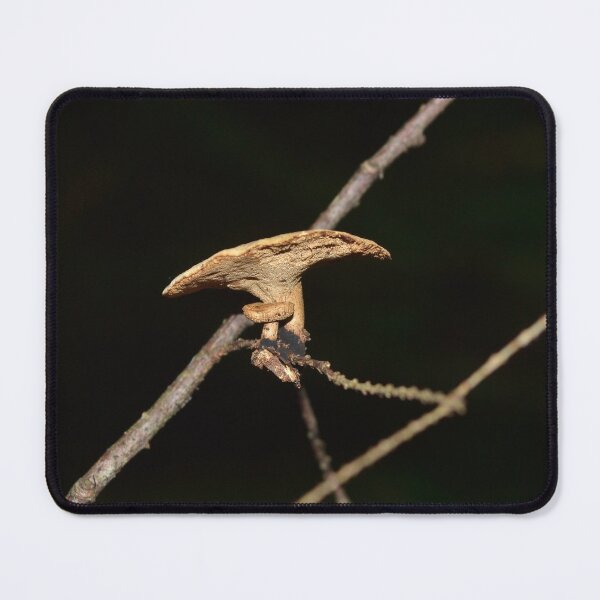 Item preview, Tiny Mushrooms on a Twig designed and sold by Kathleen Brant.