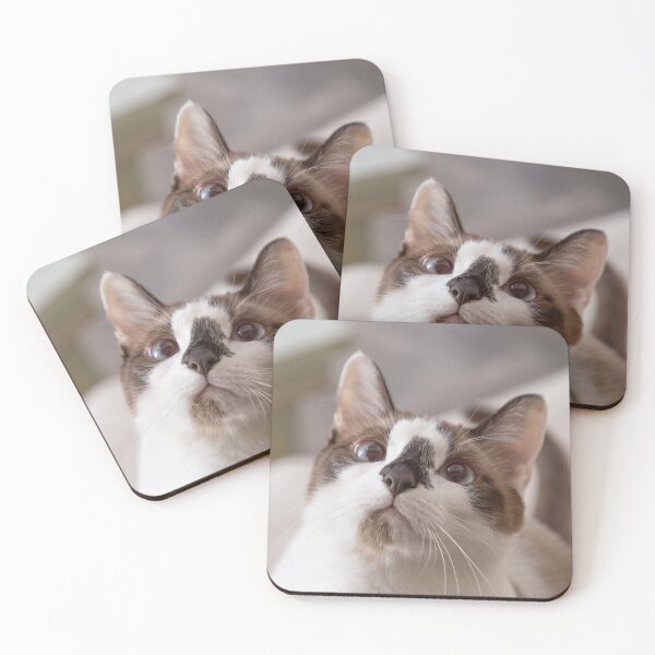 Item preview, Incredibly Cute Snowshoe Cat designed and sold by Elisabeth Lucas.