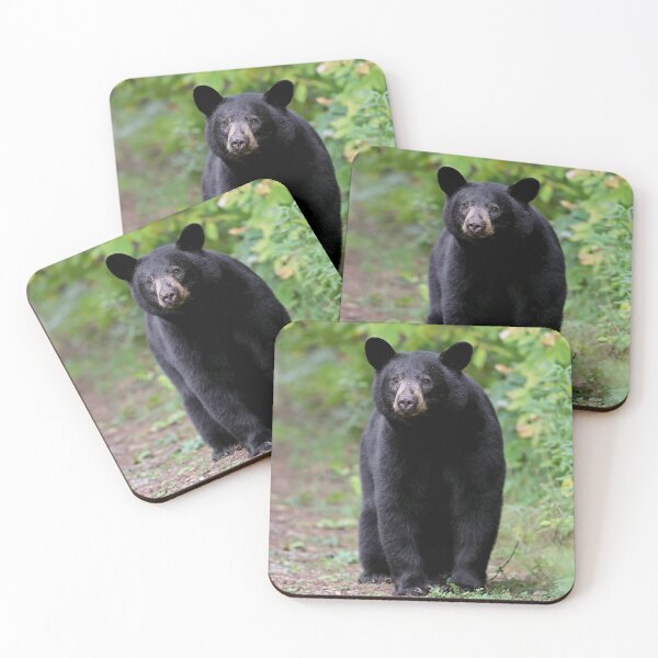 Item preview, Black Bear designed and sold by mlorenz.
