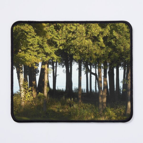 Item preview, Trees by the Lake designed and sold by Kathleen Brant.