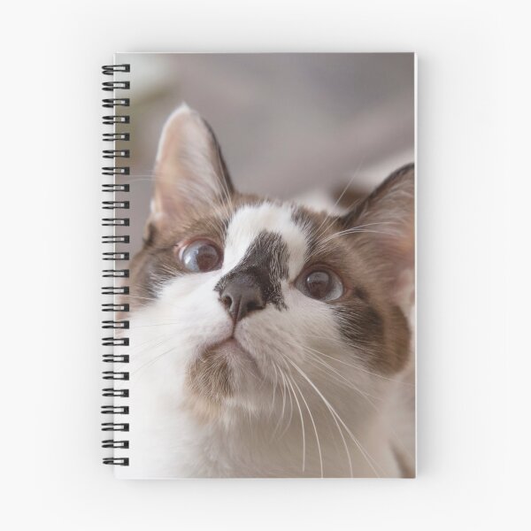 Item preview, Incredibly Cute Snowshoe Cat designed and sold by Elisabeth Lucas.