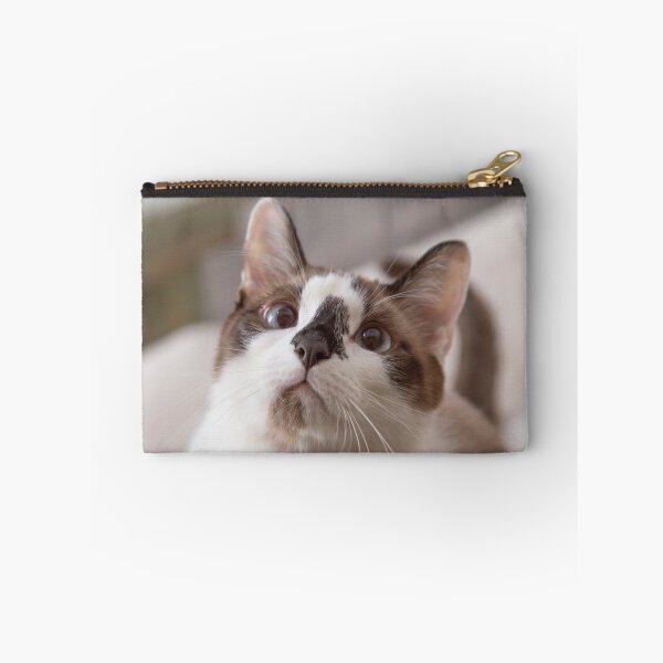 Item preview, Incredibly Cute Snowshoe Cat designed and sold by Elisabeth Lucas.