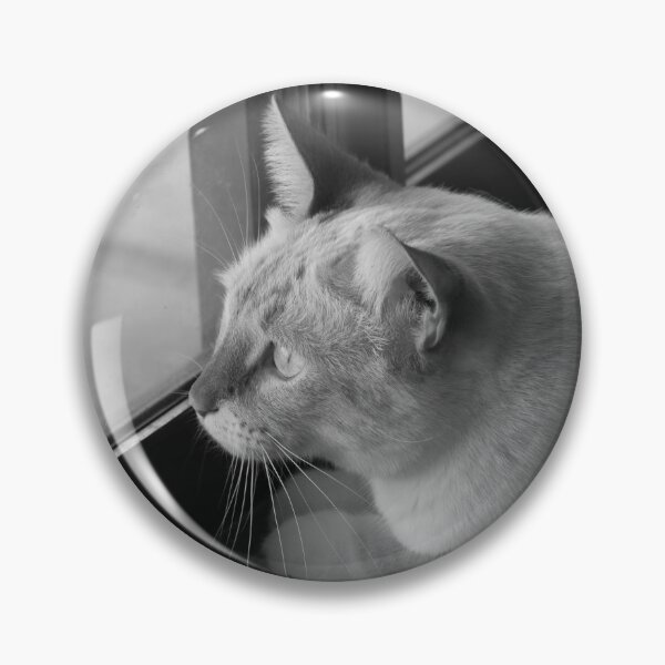 Item preview, Red Point Siamese Cat Window Hunting BW designed and sold by Elisabeth Lucas.