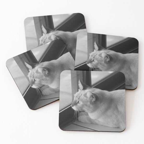 Item preview, Red Point Siamese Cat Window Hunting BW designed and sold by Elisabeth Lucas.