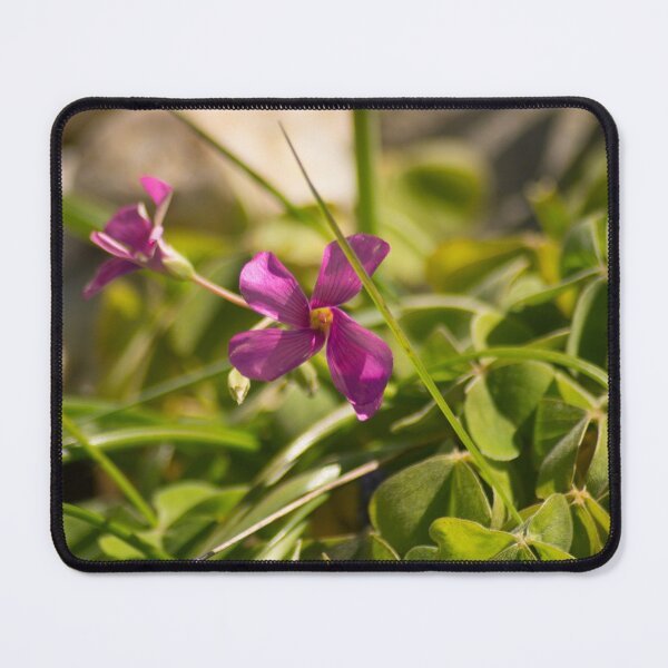 Item preview, slb simply periwinkle designed and sold by pcfyi.