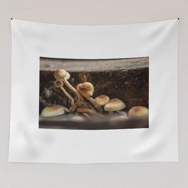 Item preview, slb shrooms designed and sold by pcfyi.