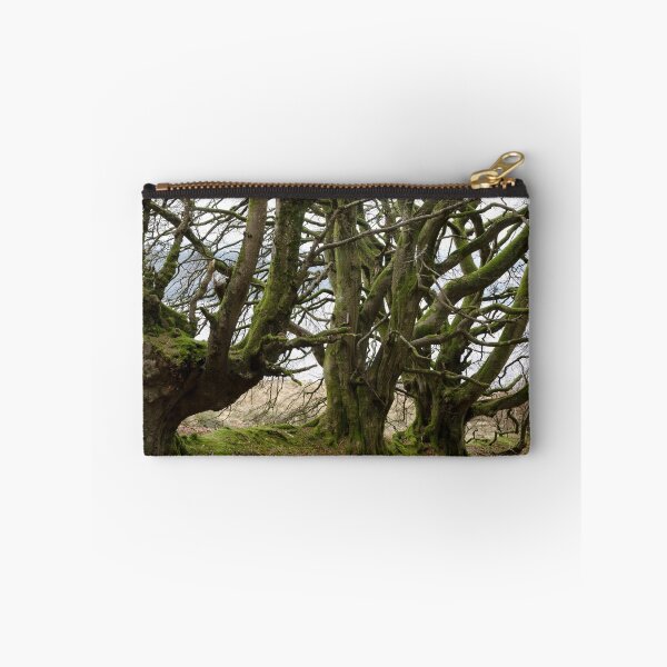 Artikelvorschau, Kielder Forest entworfen und verkauft von Sarah Horsman.