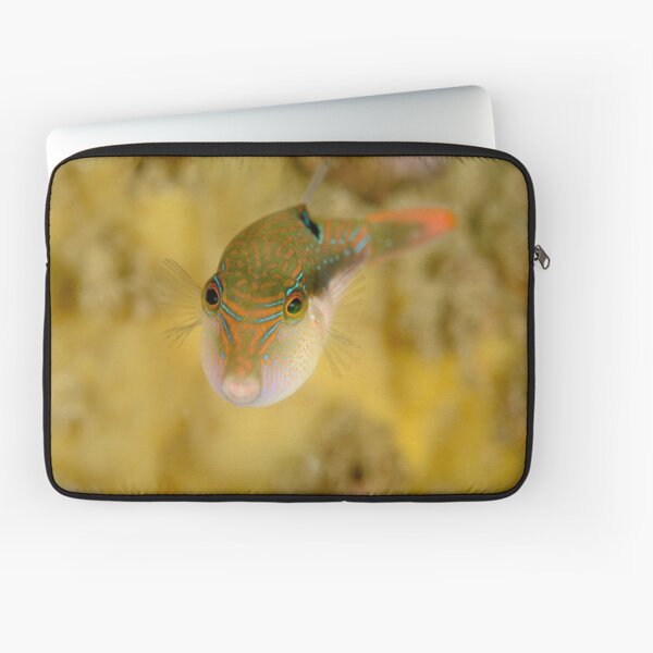 Bennett's Pufferfish - Canthigaster bennetti Laptop Sleeve