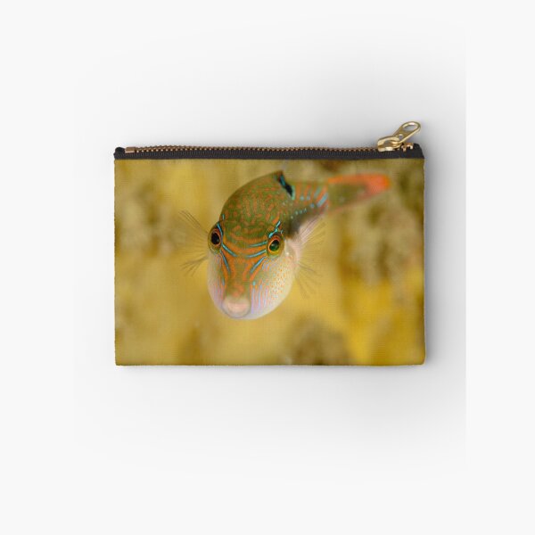 Item preview, Bennett's Pufferfish - Canthigaster bennetti designed and sold by Andrew Trevor-Jones.
