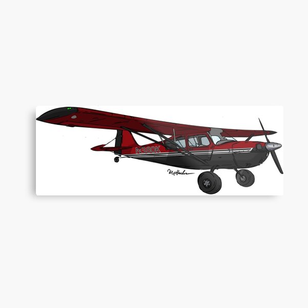 American Champion N380K Metal Print