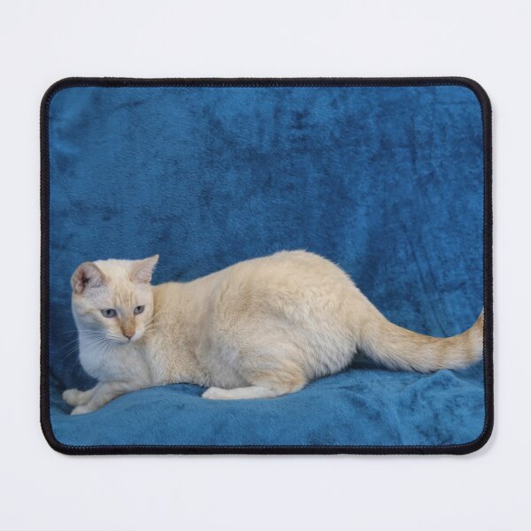 Item preview, Red Point Siamese Cat on Blue Blanket designed and sold by Elisabeth Lucas.