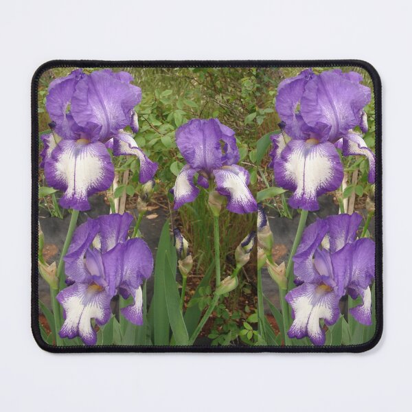 Item preview,  Iris Flower Purple and White designed and sold by Sarah  Rajkotwala.