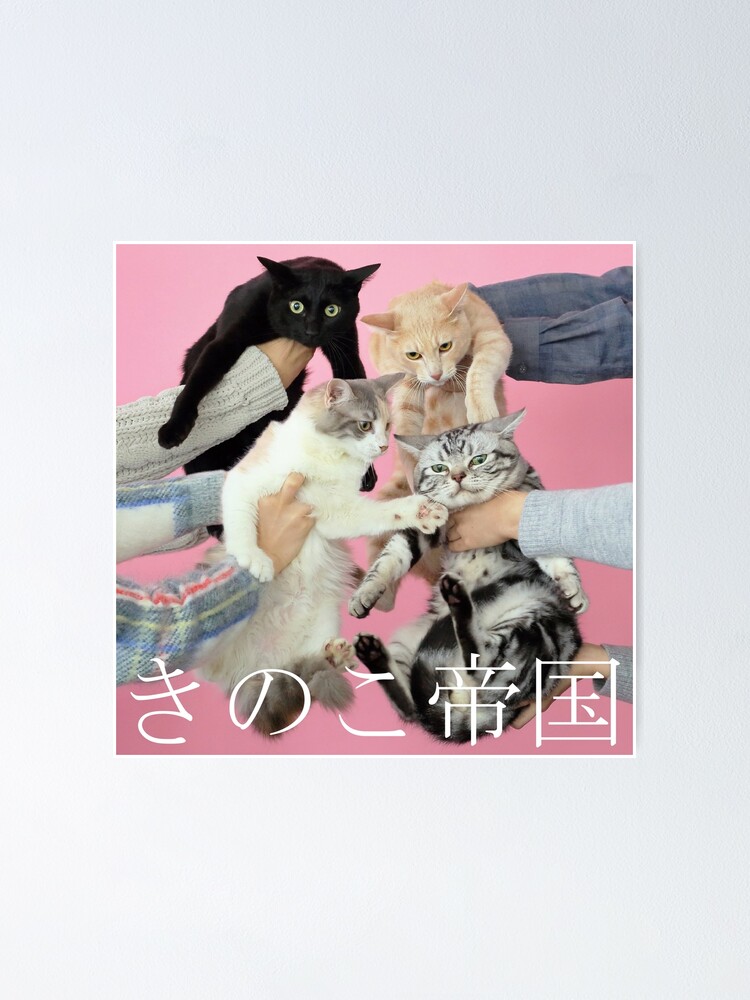 Kinoko Teikoku (きのこ帝国) - Neko to Allergy (猫とアレルギー