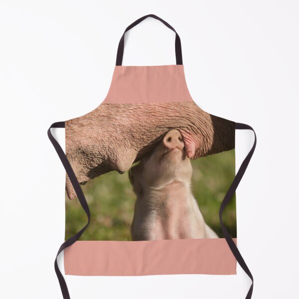 Item preview, Cute Piglet sees no evil while searching for a teat designed and sold by Steven Holt.