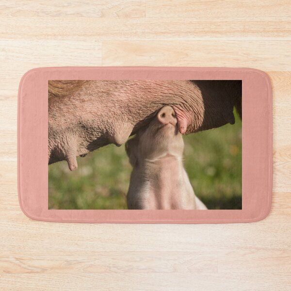 Item preview, Cute Piglet sees no evil while searching for a teat designed and sold by Steven Holt.