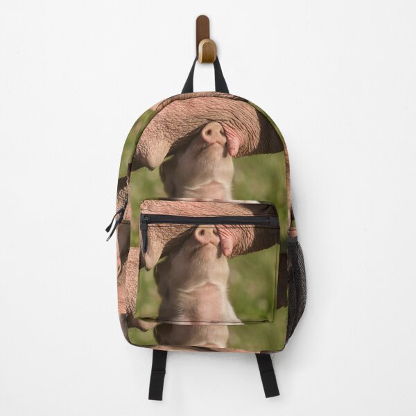 Item preview, Cute Piglet sees no evil while searching for a teat designed and sold by Steven Holt.