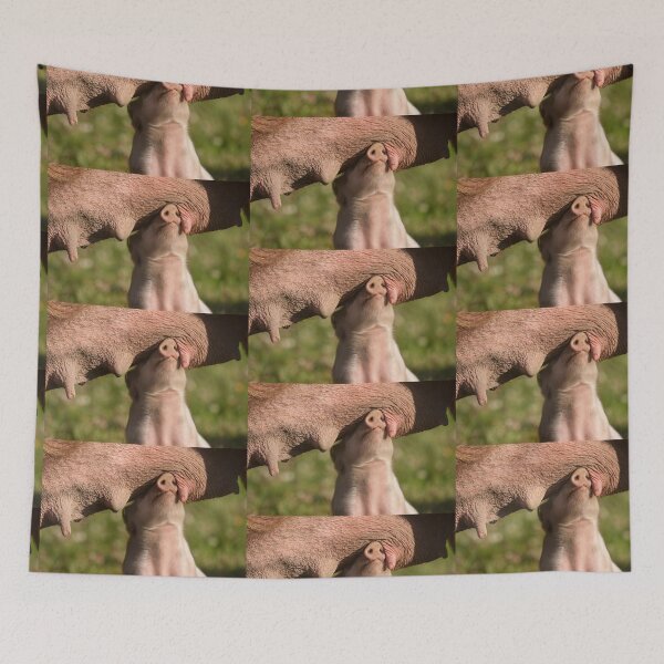 Item preview, Cute Piglet sees no evil while searching for a teat designed and sold by Steven Holt.