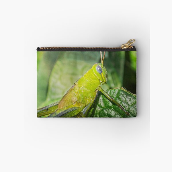 Item preview, Grasshopper designed and sold by Helenvandy.