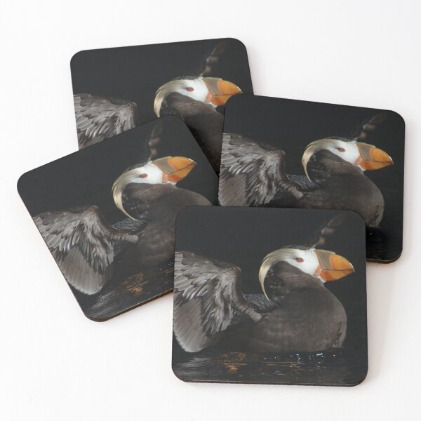 Item preview, Tufted Puffin flapping wings on water designed and sold by Steven Holt.