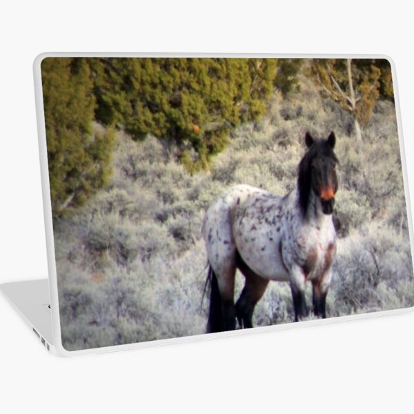 Shaman Laptop Skin