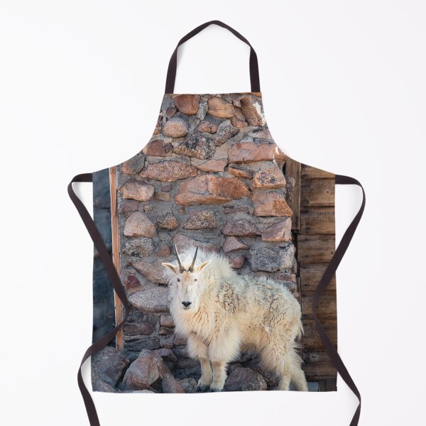Item preview, At the top of the world designed and sold by ColtonHamm.