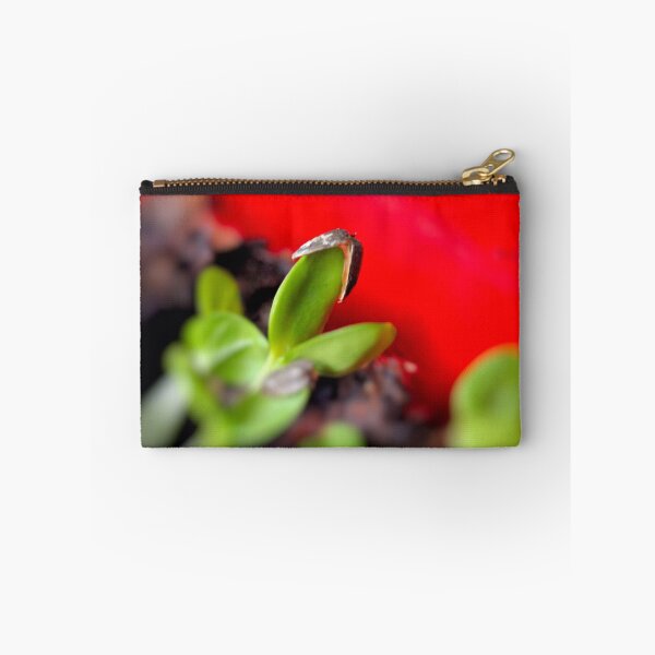 Item preview, Sunflower Seedling designed and sold by aprilann.