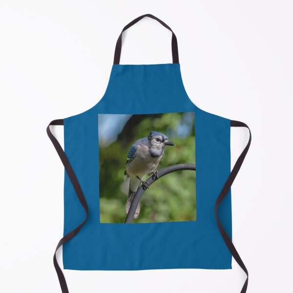 Item preview, Backyard Blue Jay designed and sold by Lanis Rossi.