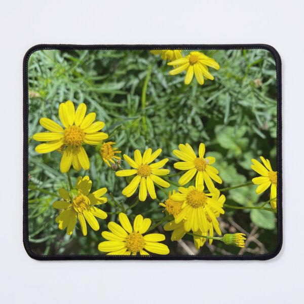 Item preview, Petty yellow daisies designed and sold by C-L-Cs.