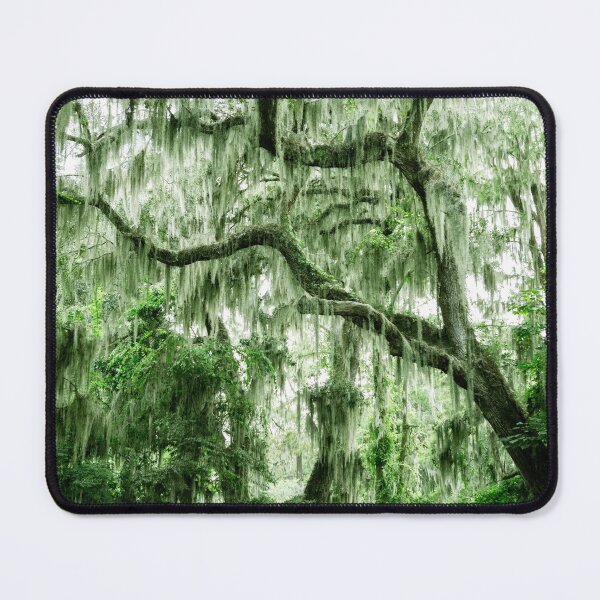 Item preview, Spanish Moss on Trees designed and sold by Leslie Banks.