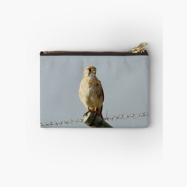 Item preview, Nankeen Kestrel designed and sold by Chris Kean.