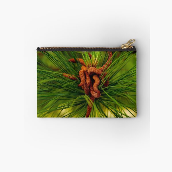 Item preview, Pine Tree Seeds designed and sold by Lee LaFontaine.