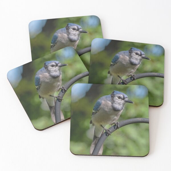 Item preview, Backyard Blue Jay  designed and sold by Lanis Rossi.