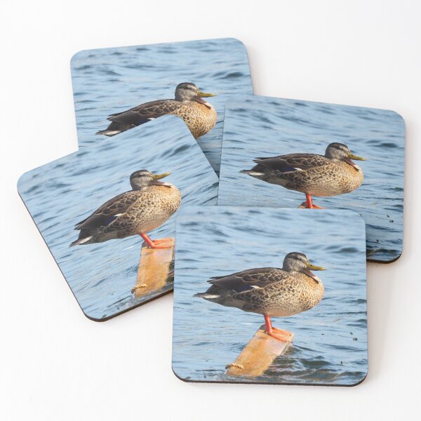 Item preview, Female Mallard Duck Standing On A Block Of Wood designed and sold by BackyardBirder.