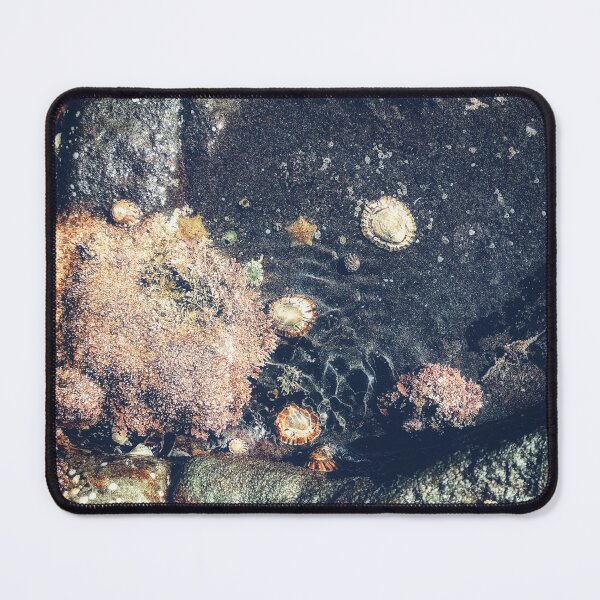 Item preview, Rock Pool designed and sold by goodieg.