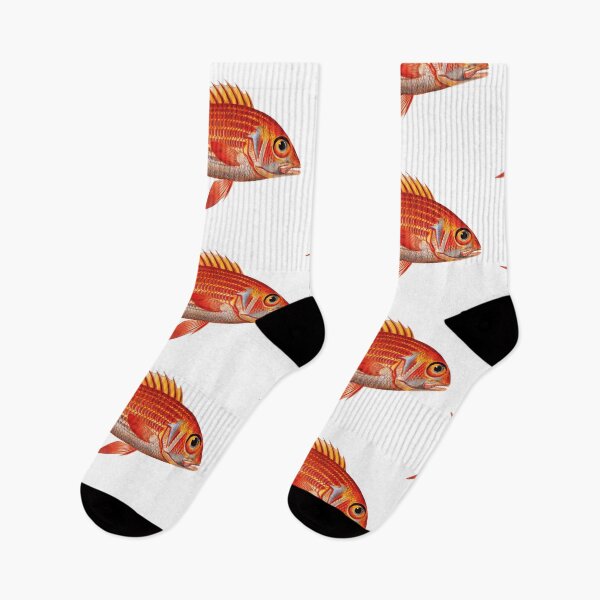 Item preview, Hawaiian Squirrelfish  designed and sold by Kathleen Douglas.