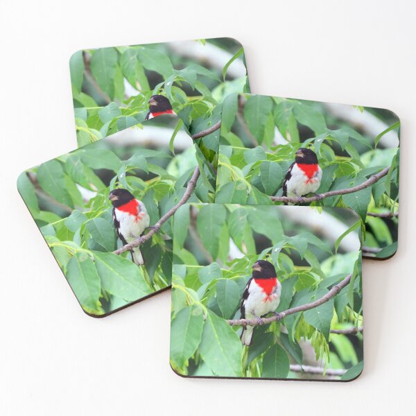Item preview, Male Rose-breasted Grosbeak Perched In A Bush designed and sold by BackyardBirder.