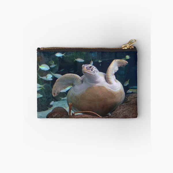 Item preview, Green Sea Turtle designed and sold by Kathy Baccari.