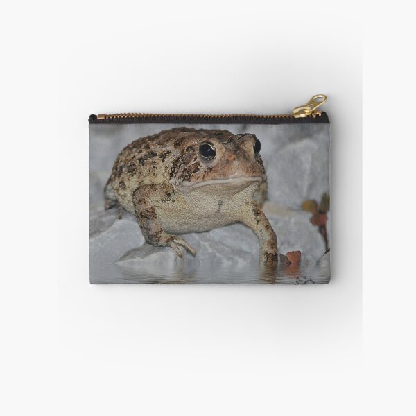 Artikelvorschau, The Toad entworfen und verkauft von Kathy Baccari.