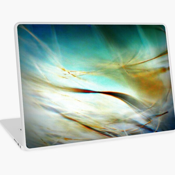 Winter Wind Laptop Skin