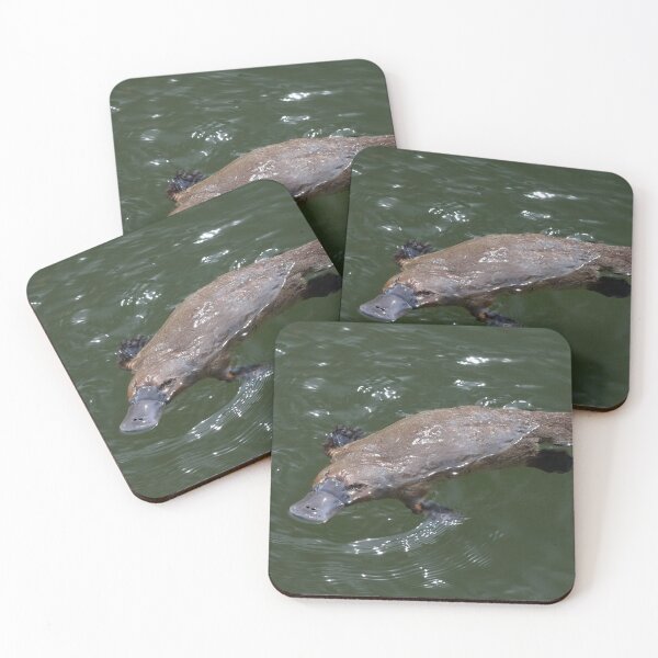 Item preview, Deloraine Platypus designed and sold by Leeo.
