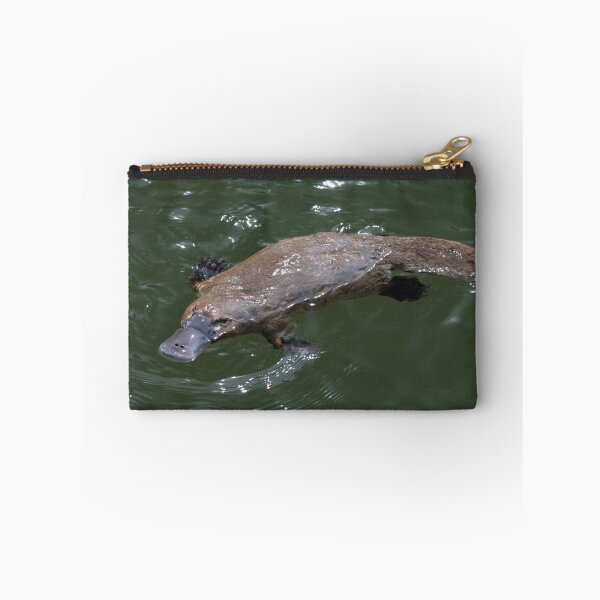 Item preview, Deloraine Platypus designed and sold by Leeo.