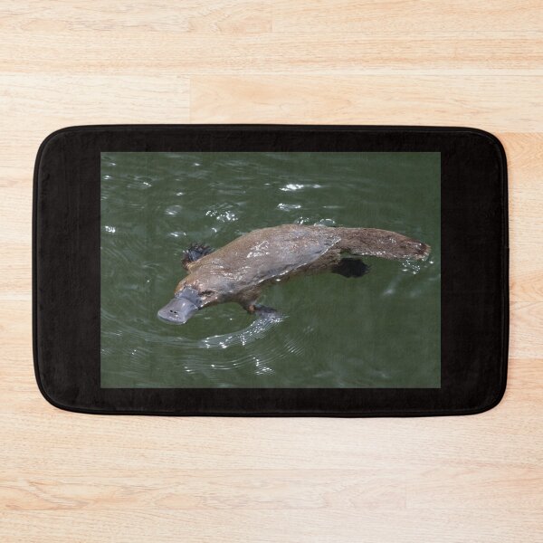 Item preview, Deloraine Platypus designed and sold by Leeo.