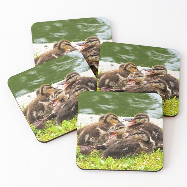 Item preview, Canada Geese Goslings Huddling Together - Wild Canada Goose Bird designed and sold by BackyardBirder.