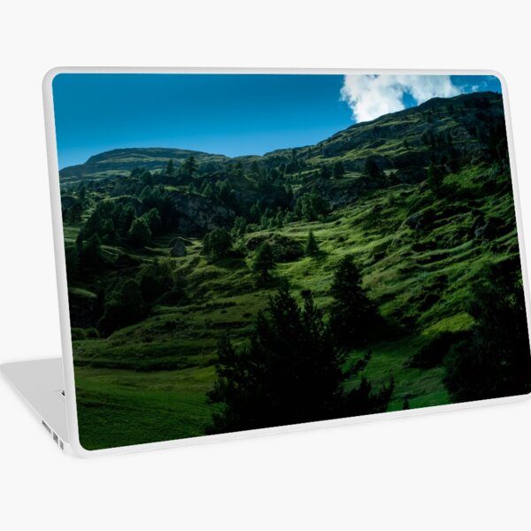 zermatt (001) Laptop Skin