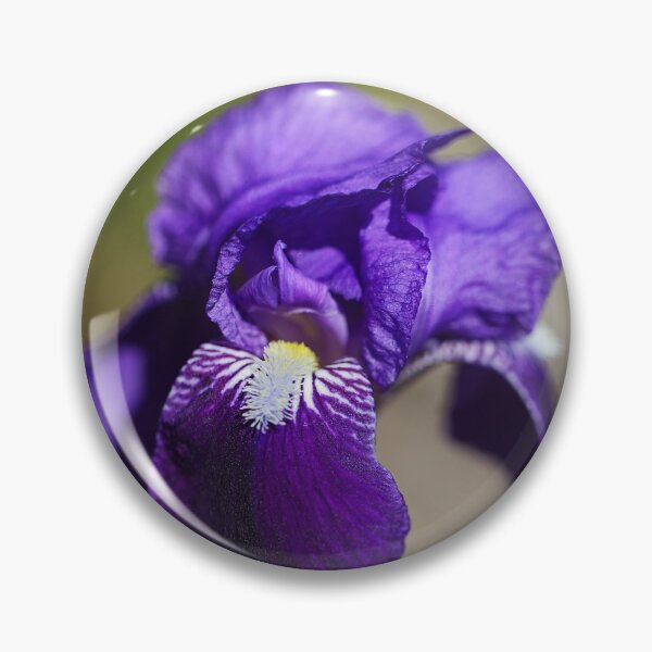 Item preview, Rich And Purple Bearded Iris designed and sold by Joy Watson - Natural Light Photography .
