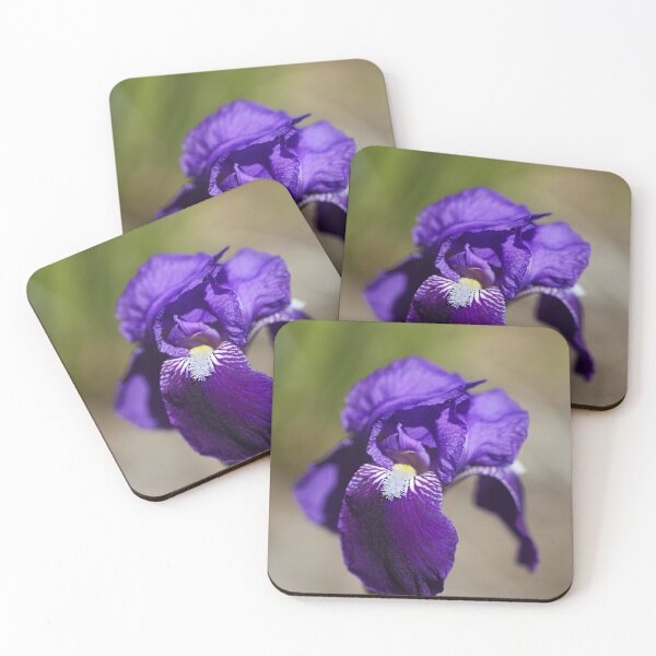 Item preview, Rich And Purple Bearded Iris designed and sold by Joy Watson - Natural Light Photography .
