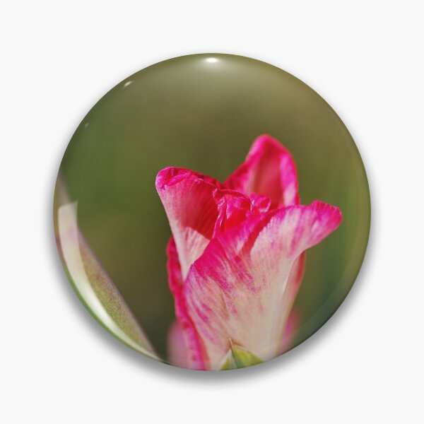 Item preview, Gladiolus Pink Bud  designed and sold by Joy Watson - Natural Light Photography .